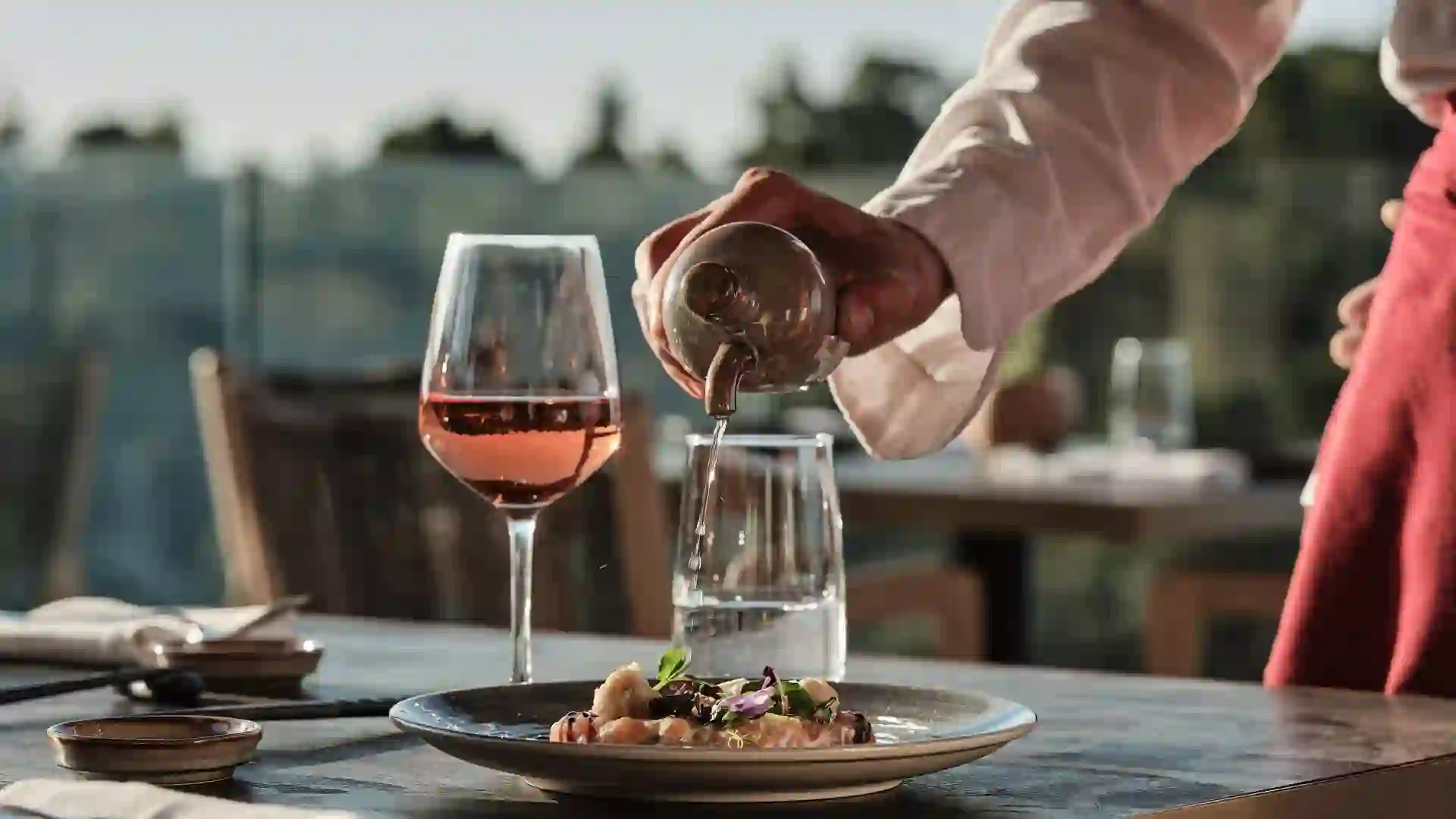 MERAVIA Leonardo Limited Edition - ANATOLI