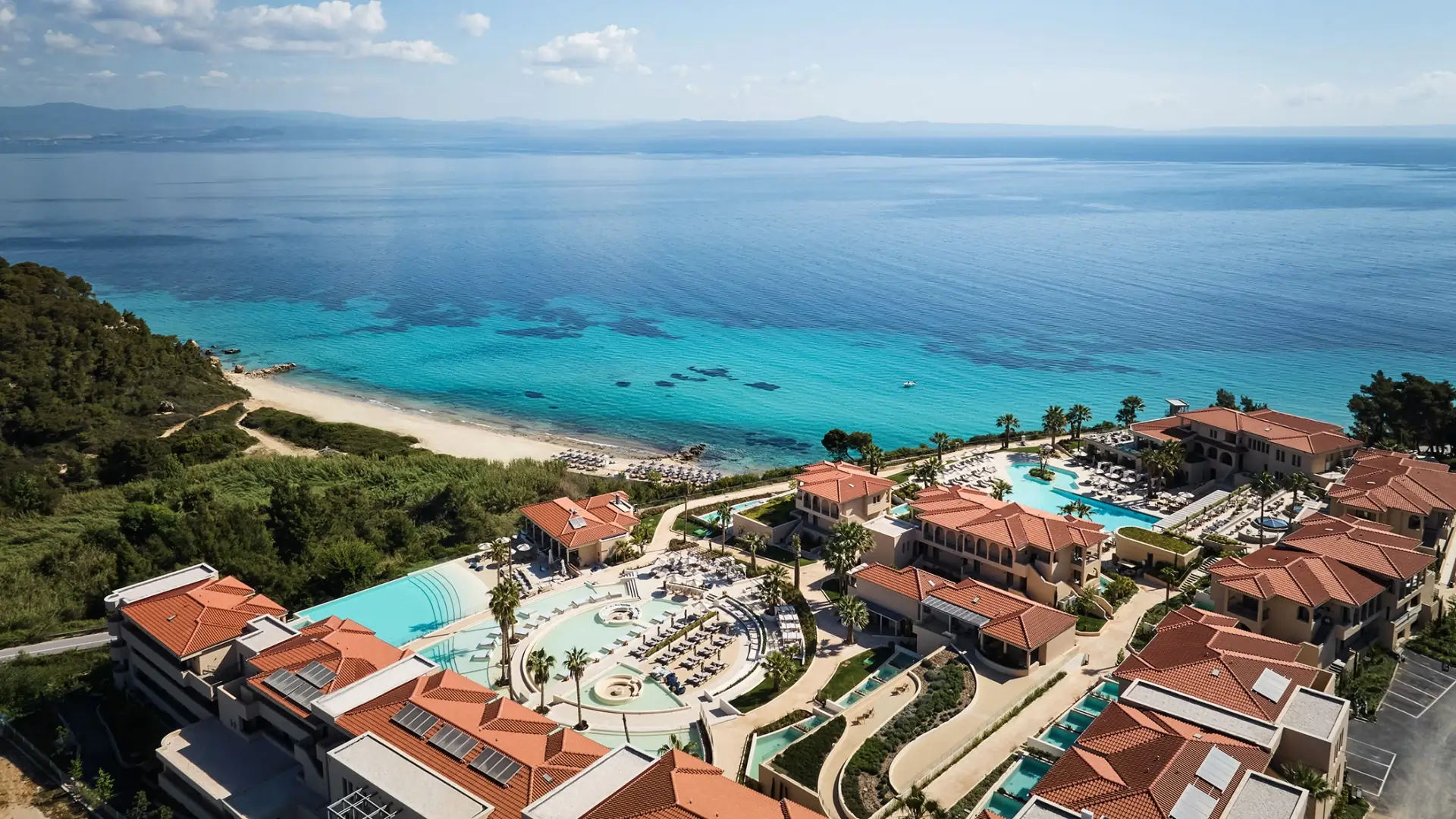 Meravia Leonardo Limited Edition