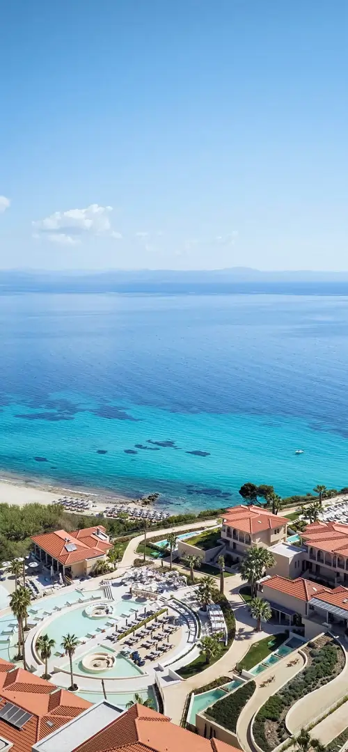 MERAVIA Leonardo Limited Edition