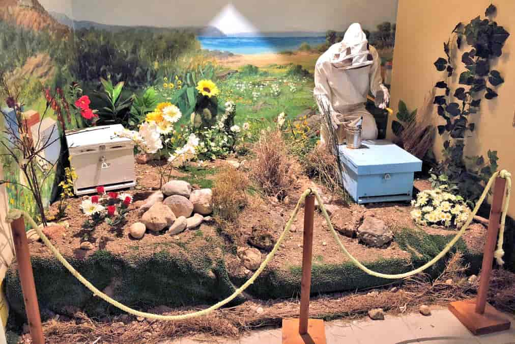 Bee Museum