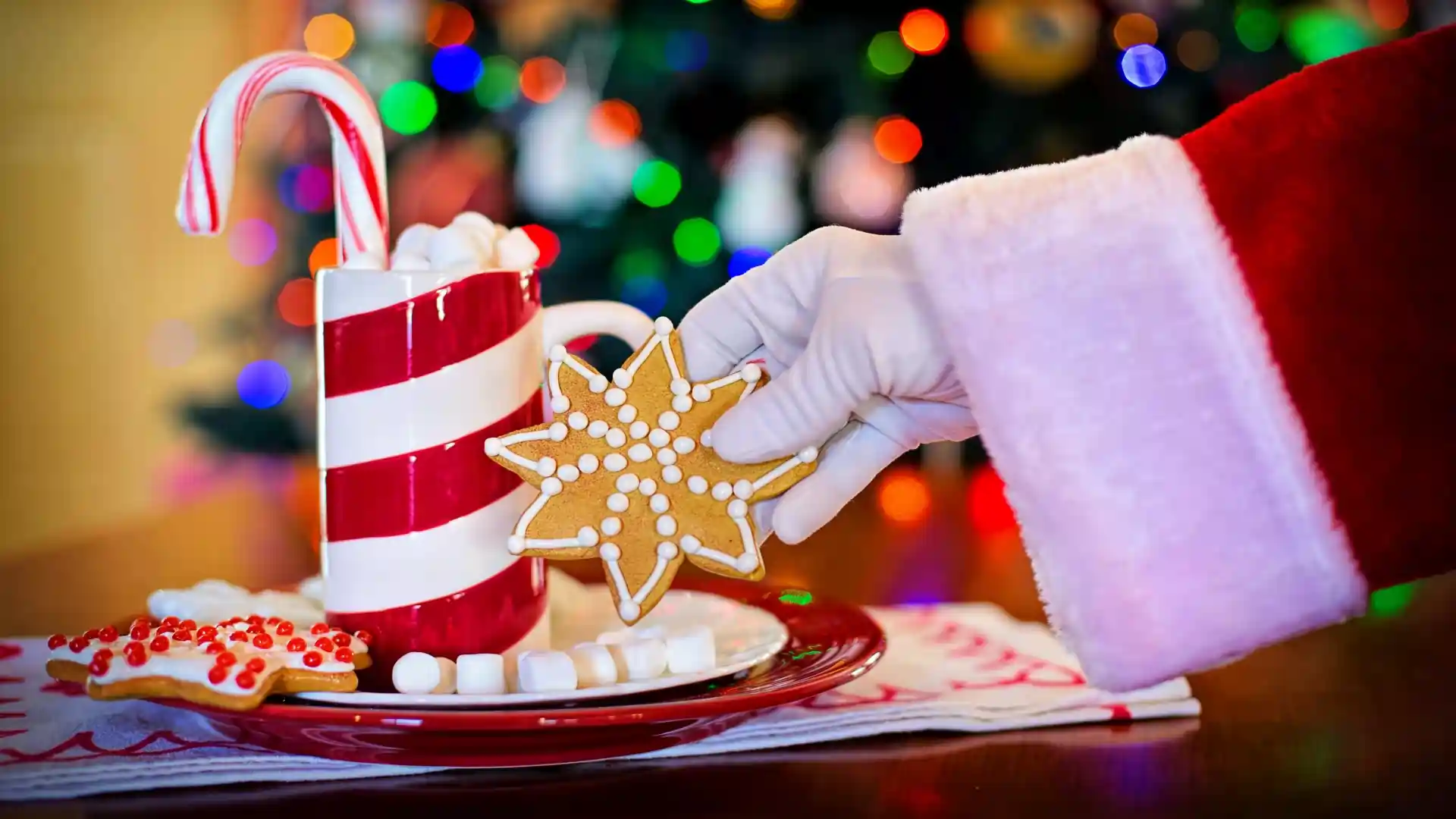 Christmas & New Year Break